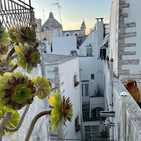 Vakantiehuis Rooftop